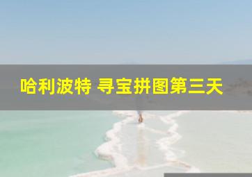 哈利波特 寻宝拼图第三天